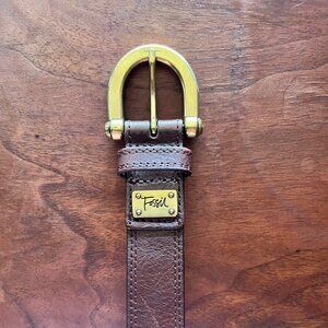 Authentic Fossil Belt